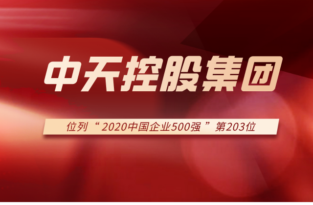 asiagame控股集团列2020中国企业500强第203位！